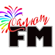 Radio Salyut
