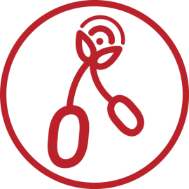 🍒 La Radio sous la Cerise 🍒